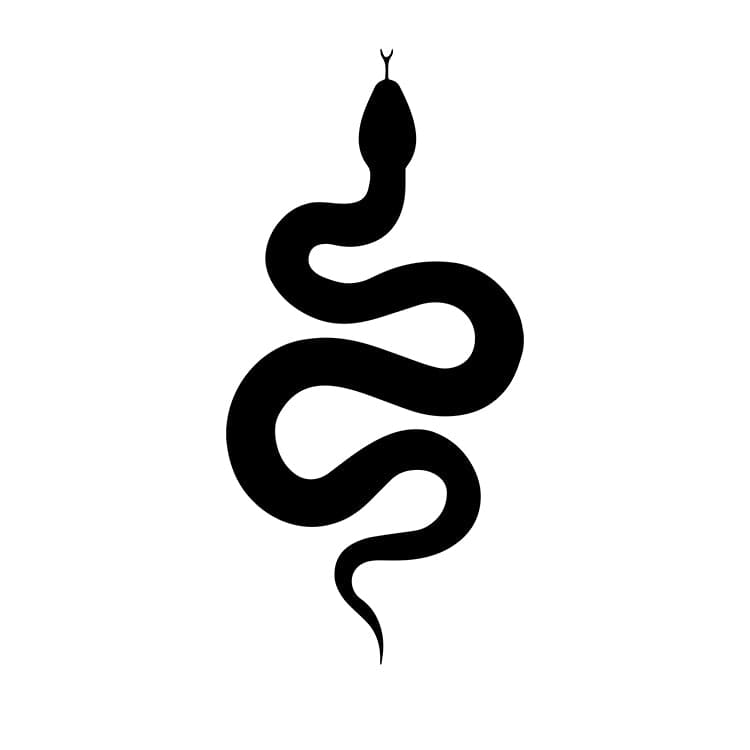 Unisex Hoodie "BLACK SNAKE"